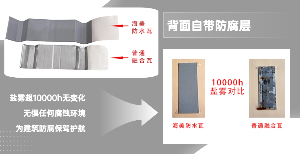 對(duì)比關(guān)系背面.png